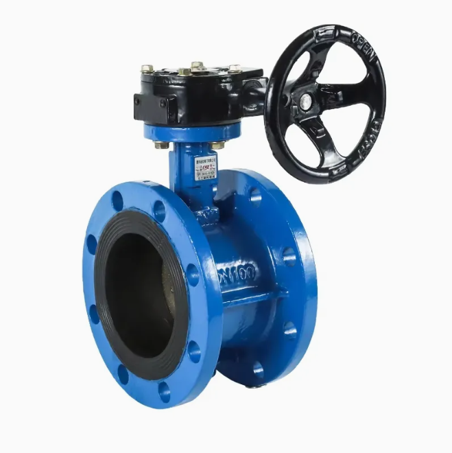 Worm Gear Flanged Butterfly Valve - detail view 1