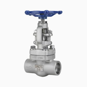 Forged Steel Butt Weld Globe Valve for gas pipeline systems - ZEMTECH GAS